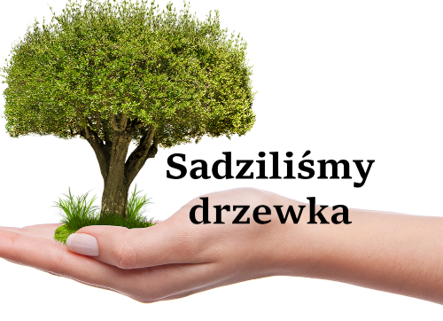 Akcja sadzenia drzewek zakończona