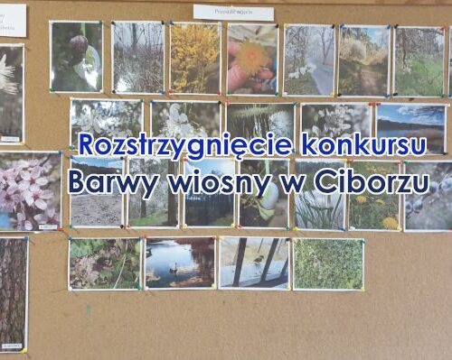 Rozstrzygnięcie konkursu fotograficznego ”Barwy wiosny w Ciborzu”