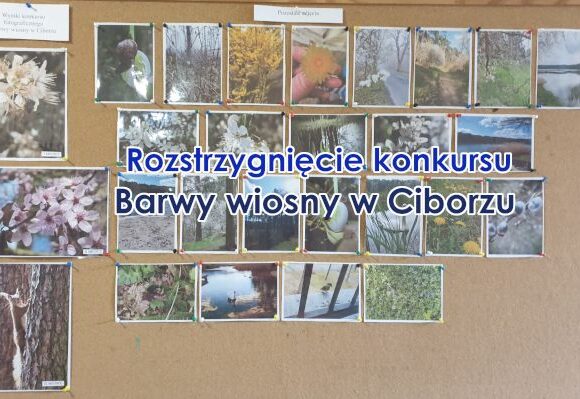 Rozstrzygnięcie konkursu fotograficznego ”Barwy wiosny w Ciborzu”