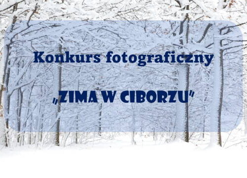 Konkurs fotograficzny "Zima w Ciborzu" - Zaproszenie