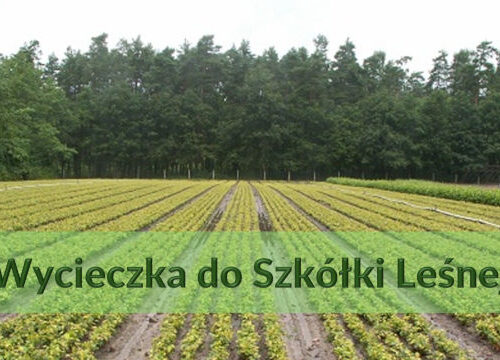 Wycieczka do Szkółki Leśnej w Ołoboku