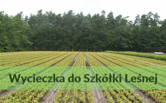Wycieczka do Szkółki Leśnej w Ołoboku